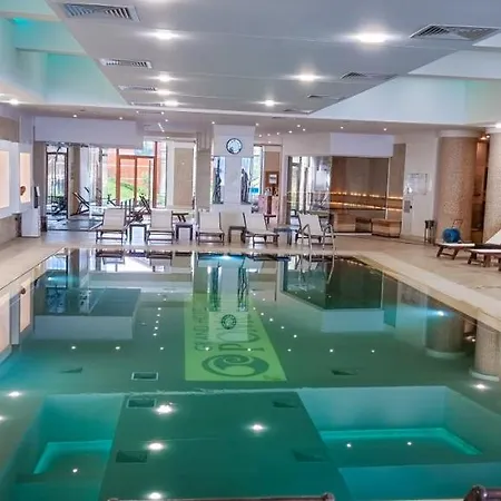 酒店 帕莫瑞大酒店