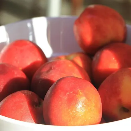 Grand - Medical 5* Ahyolu